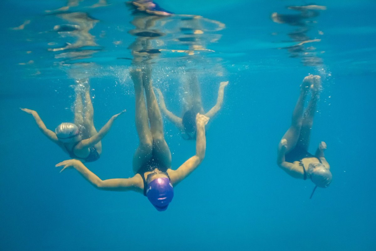 Deportes Mar del Plata tweet media