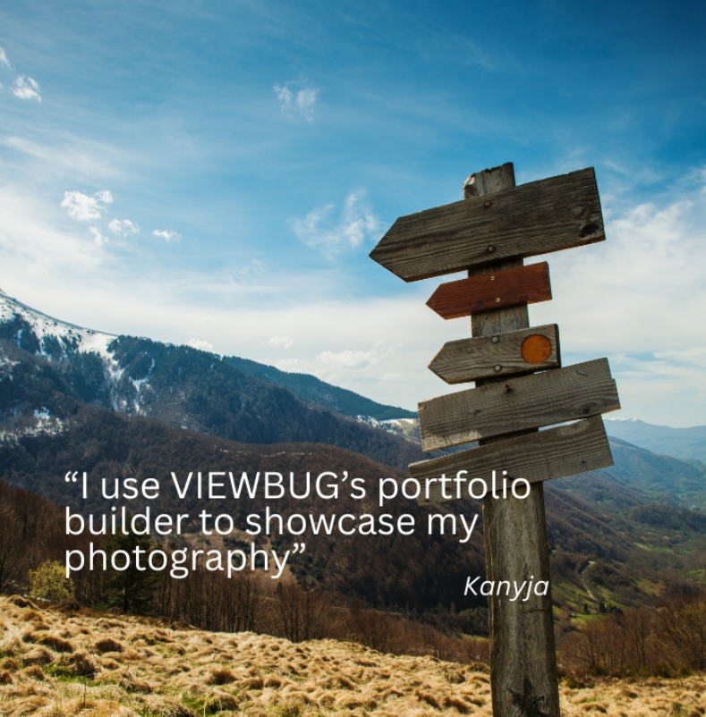 VIEWBUG 📷 ❤️ tweet media