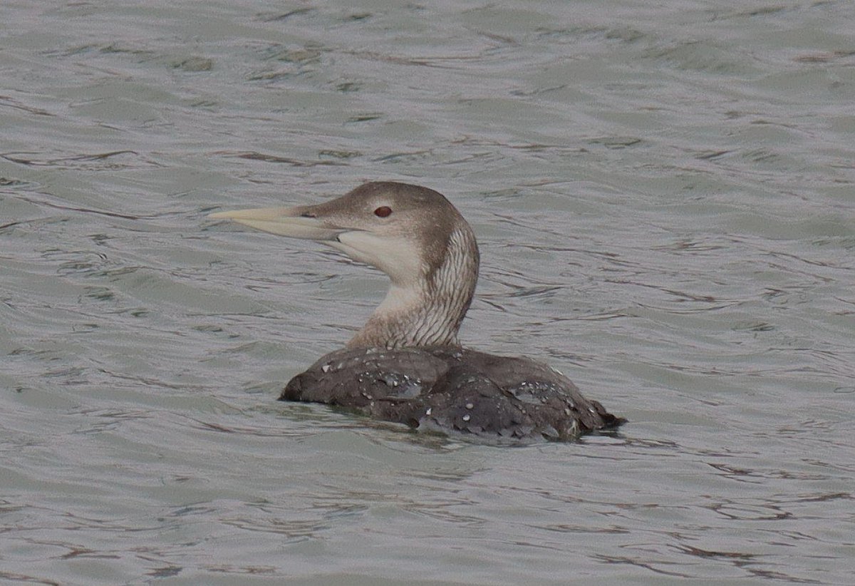 Dave 💙💛 tweet media