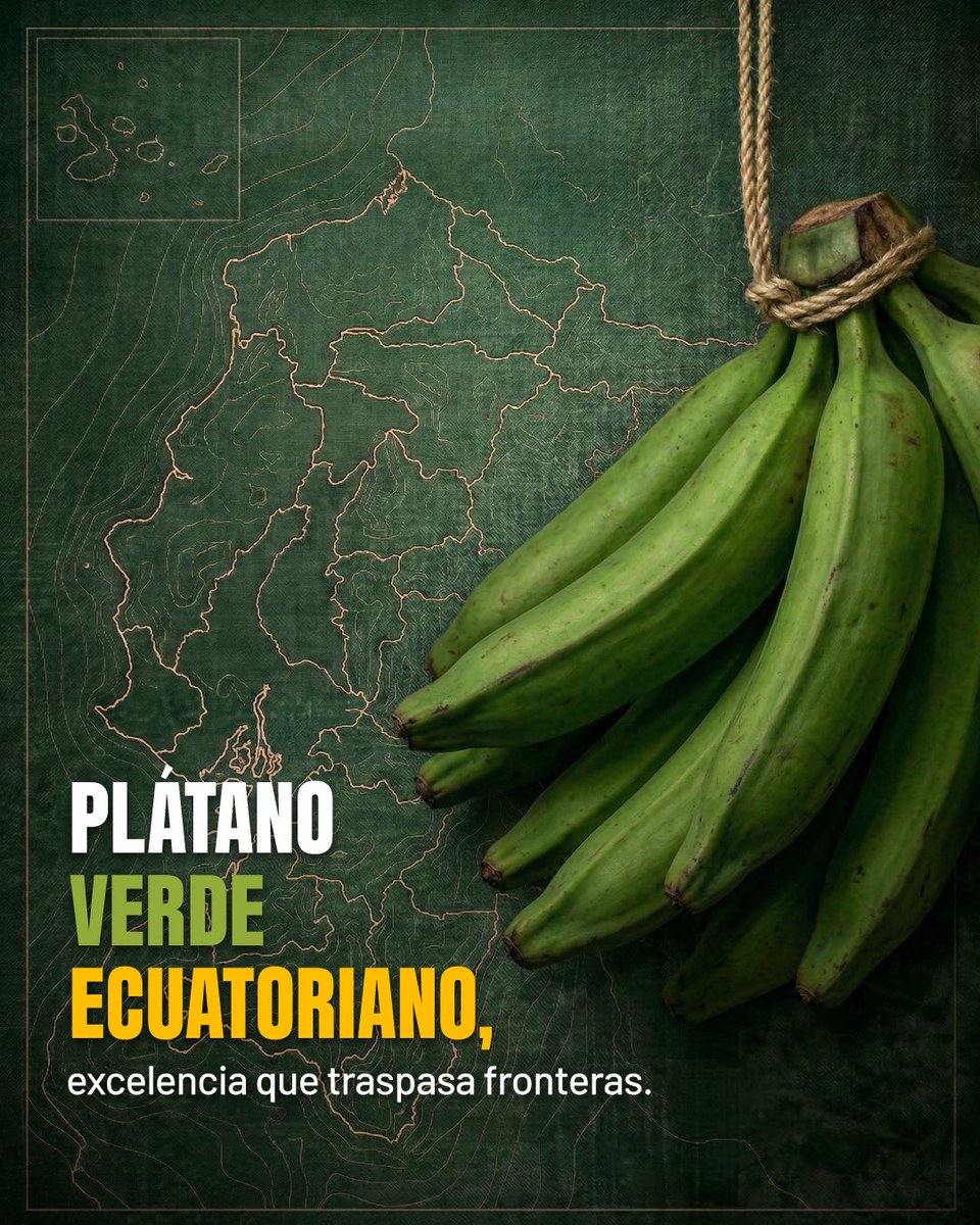 AgriculturaEc tweet picture