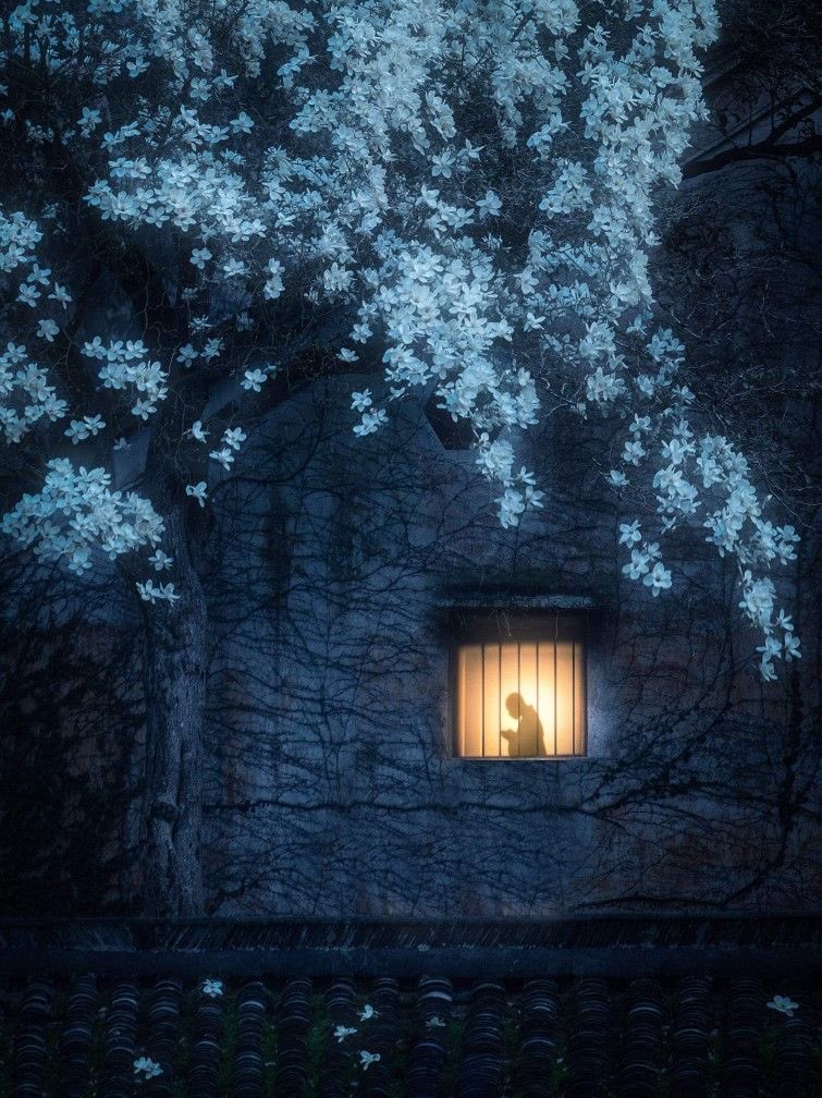 عبارات مترجمه tweet media