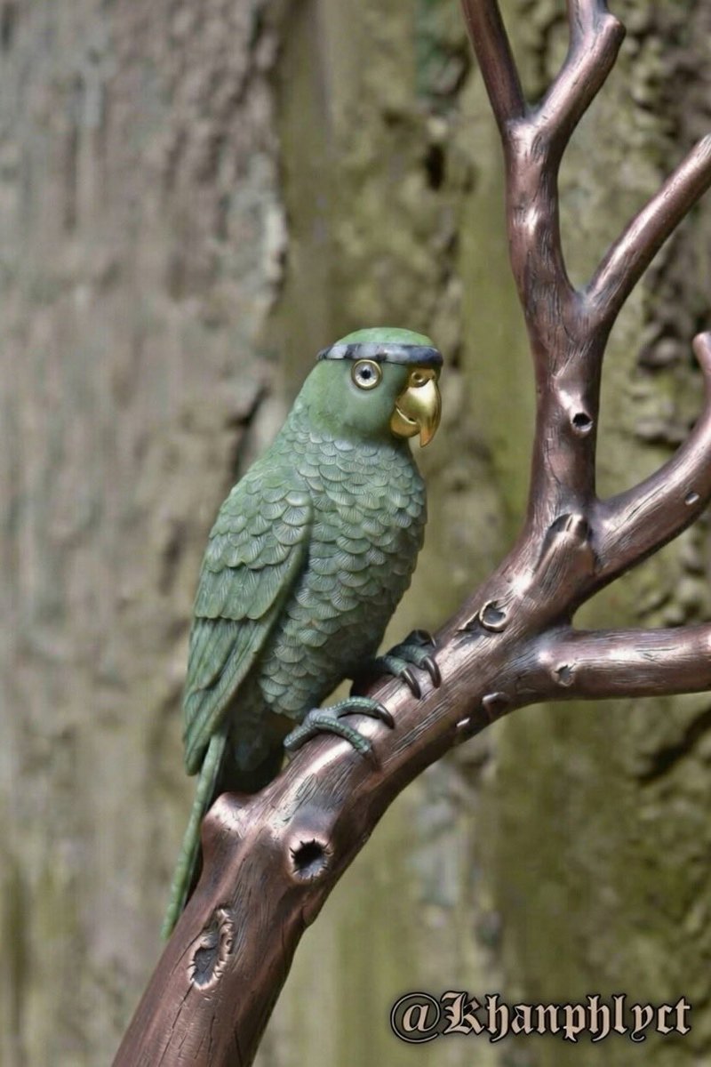 khanphlyc tweet media