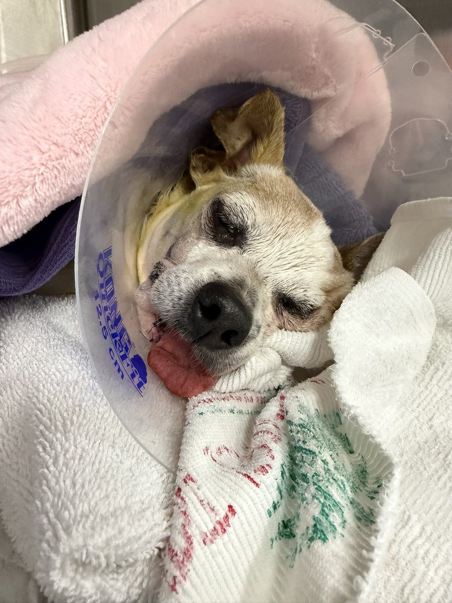 StabbyTimeTV tweet media