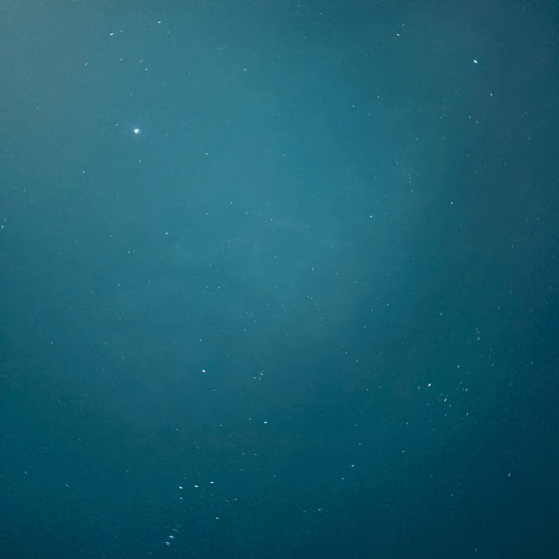 Przemek Gerschmann tweet media