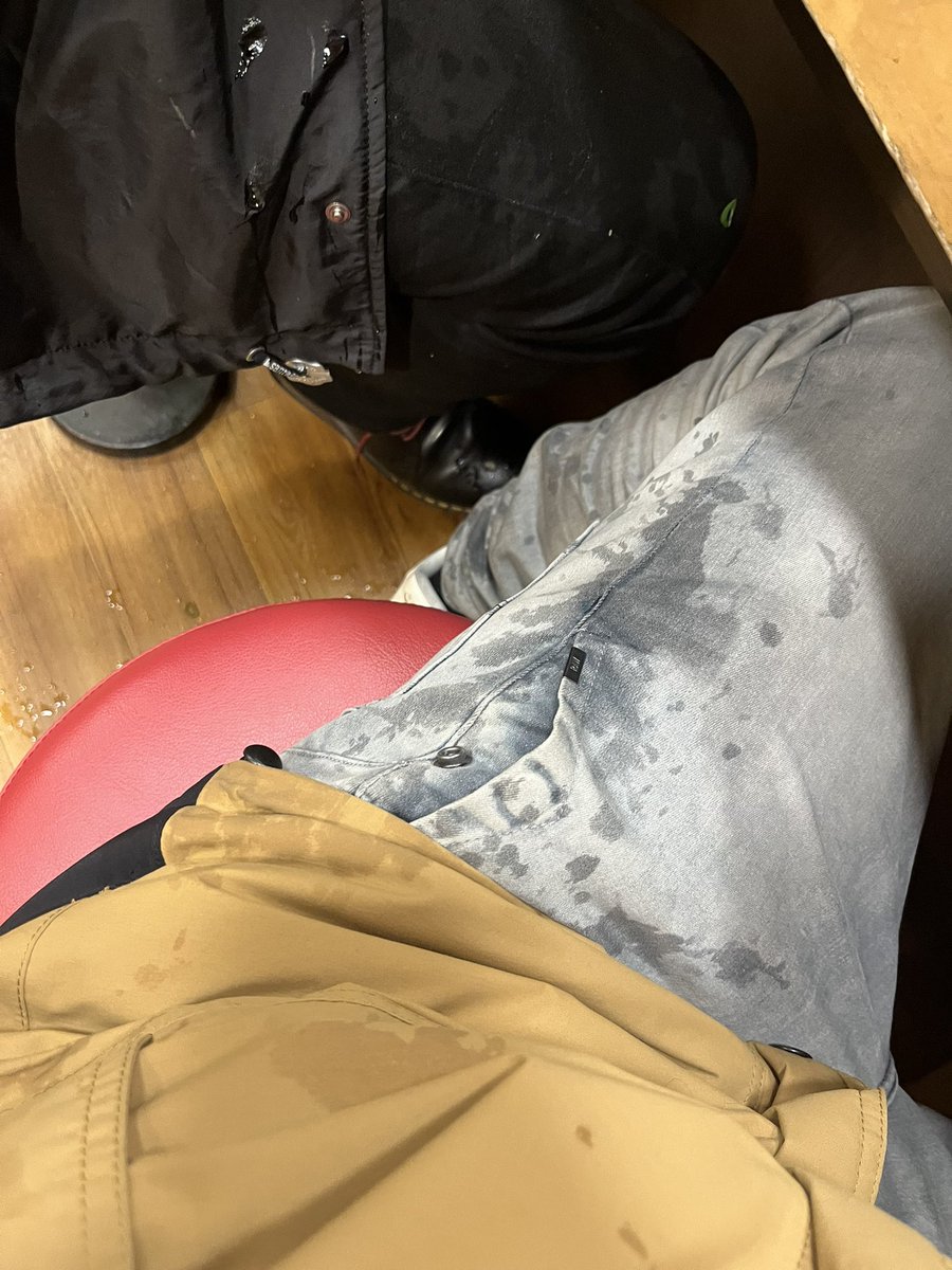 与儀大介🪼🪼 tweet media