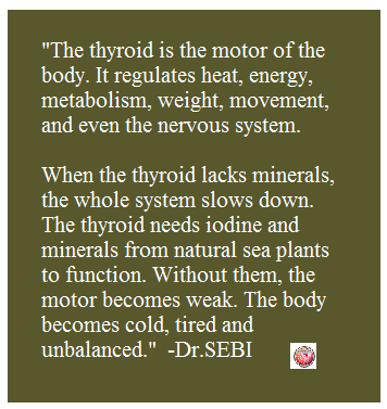 thebondjournal's tweet photo. #thyroid #metabolism #nervoussystem #iodine #minerals #balance #weight #movement #energy #healthcare #bodycare #drsebi #holisticliving https://t.co/O4zVBoblpL