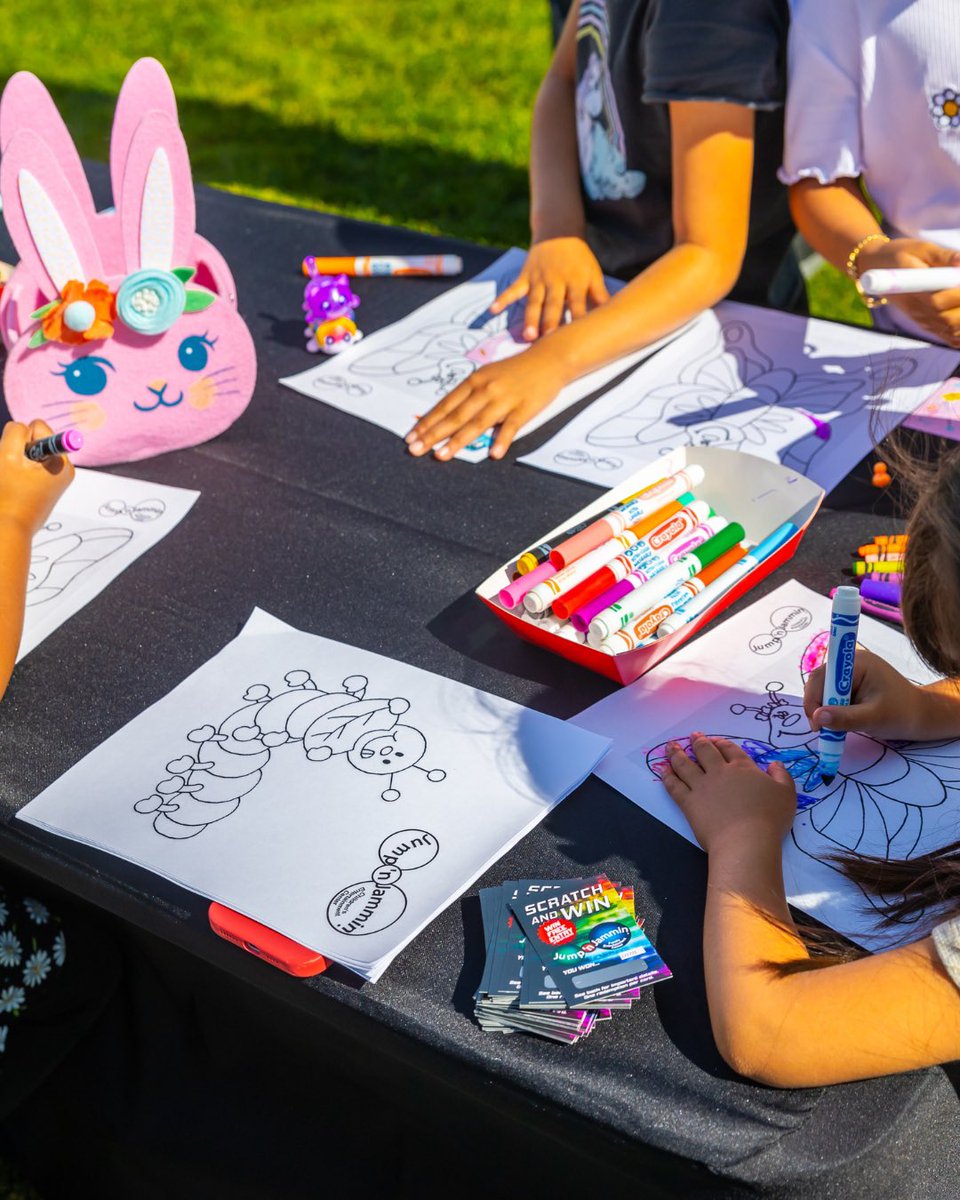 The Collection tweet media