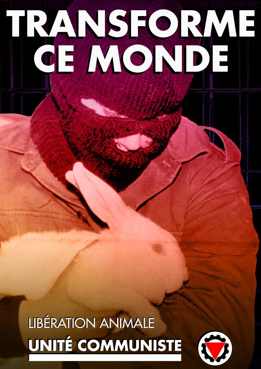 Être communiste, c'est travailler pour une production alimentaire d'abondance et de qualité, pour toutes et tous, débarrassée de la capture, de l'exploitation, et du meurtre de milliards d'innocents.
Pour un socialisme animaliste.
Pour la libération animale.