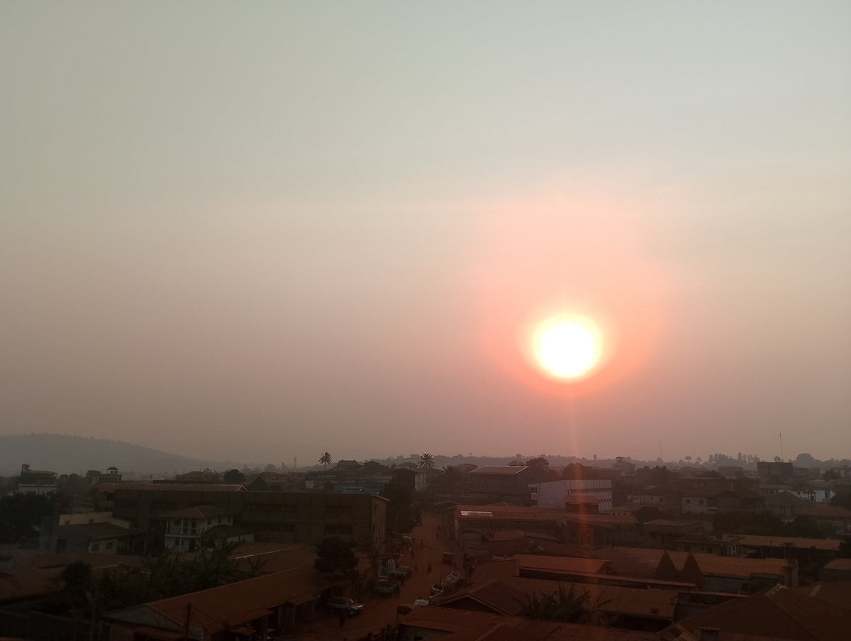 Boutchouang Nghomsi tweet media