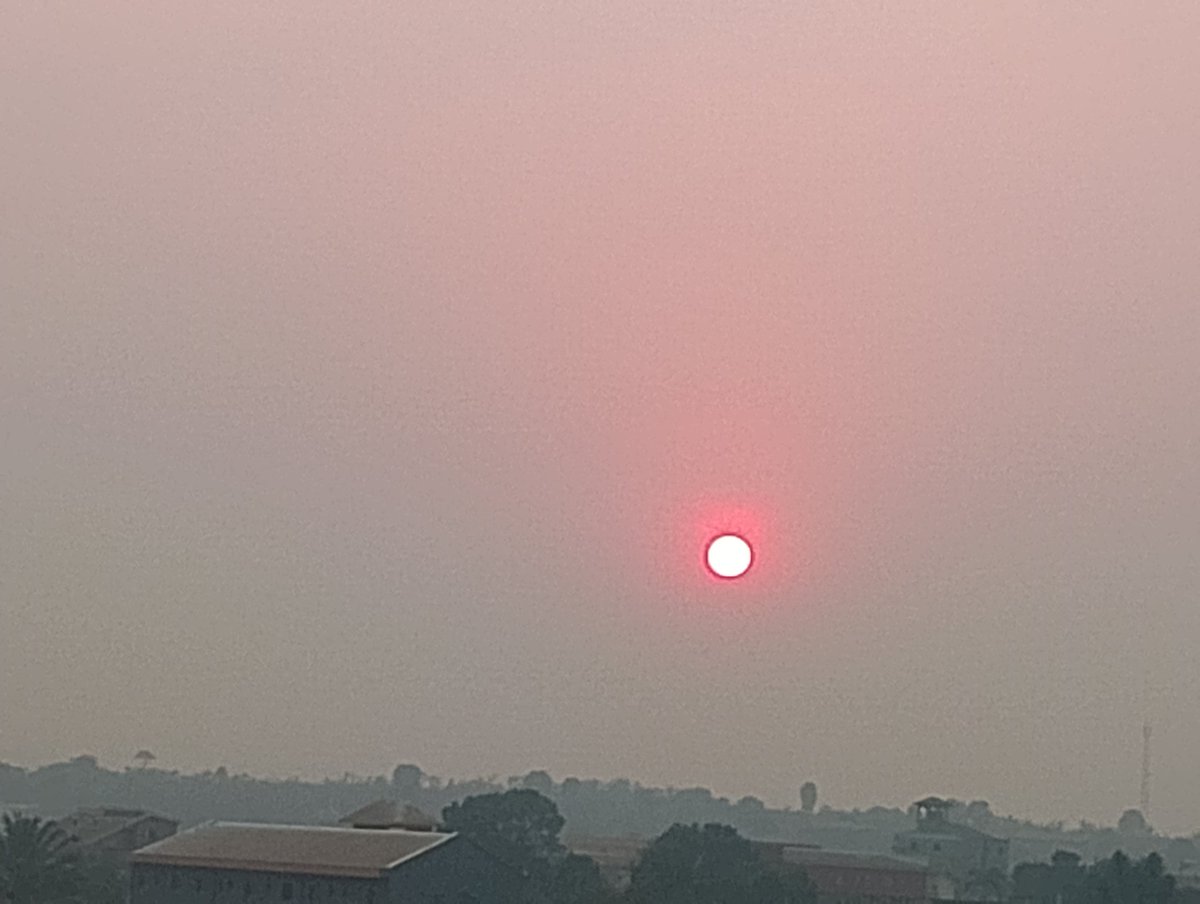 Boutchouang Nghomsi tweet media