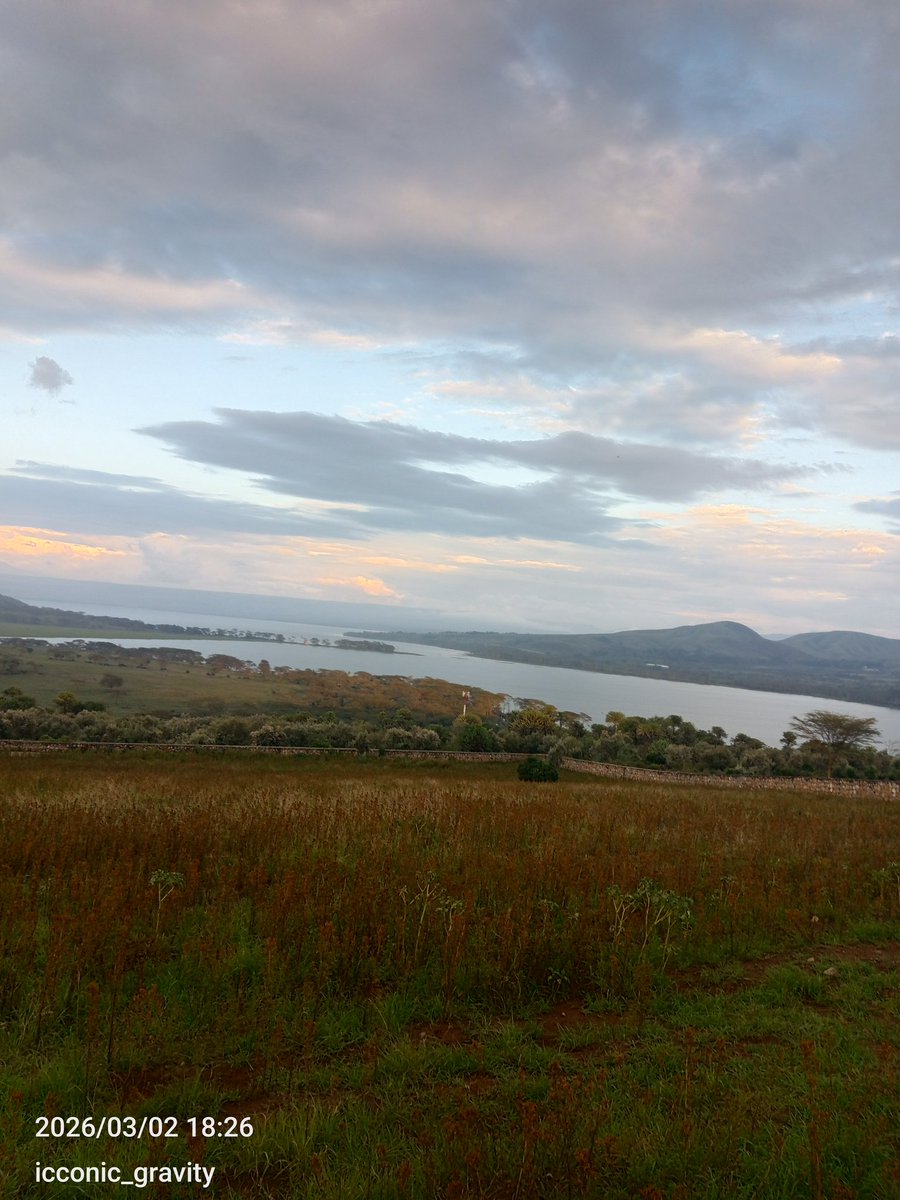 Icconic_gravity🌎 tweet media