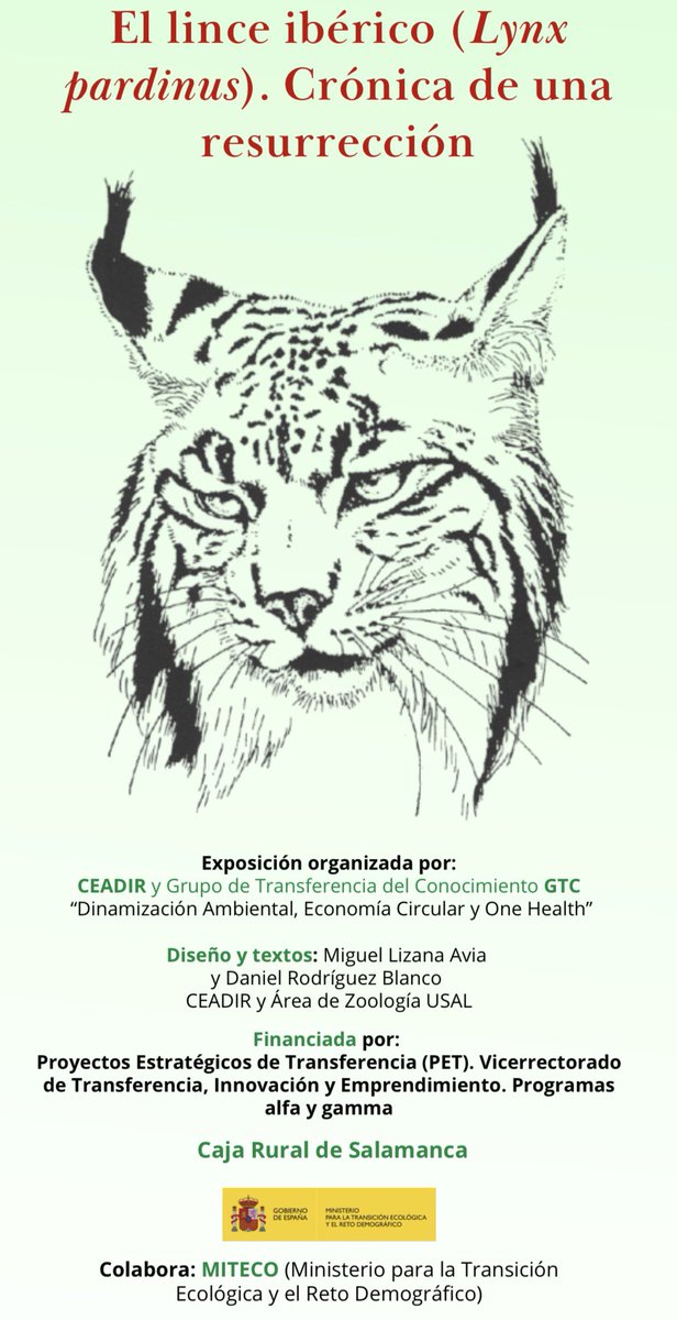 Rodrigo Morchón García tweet media