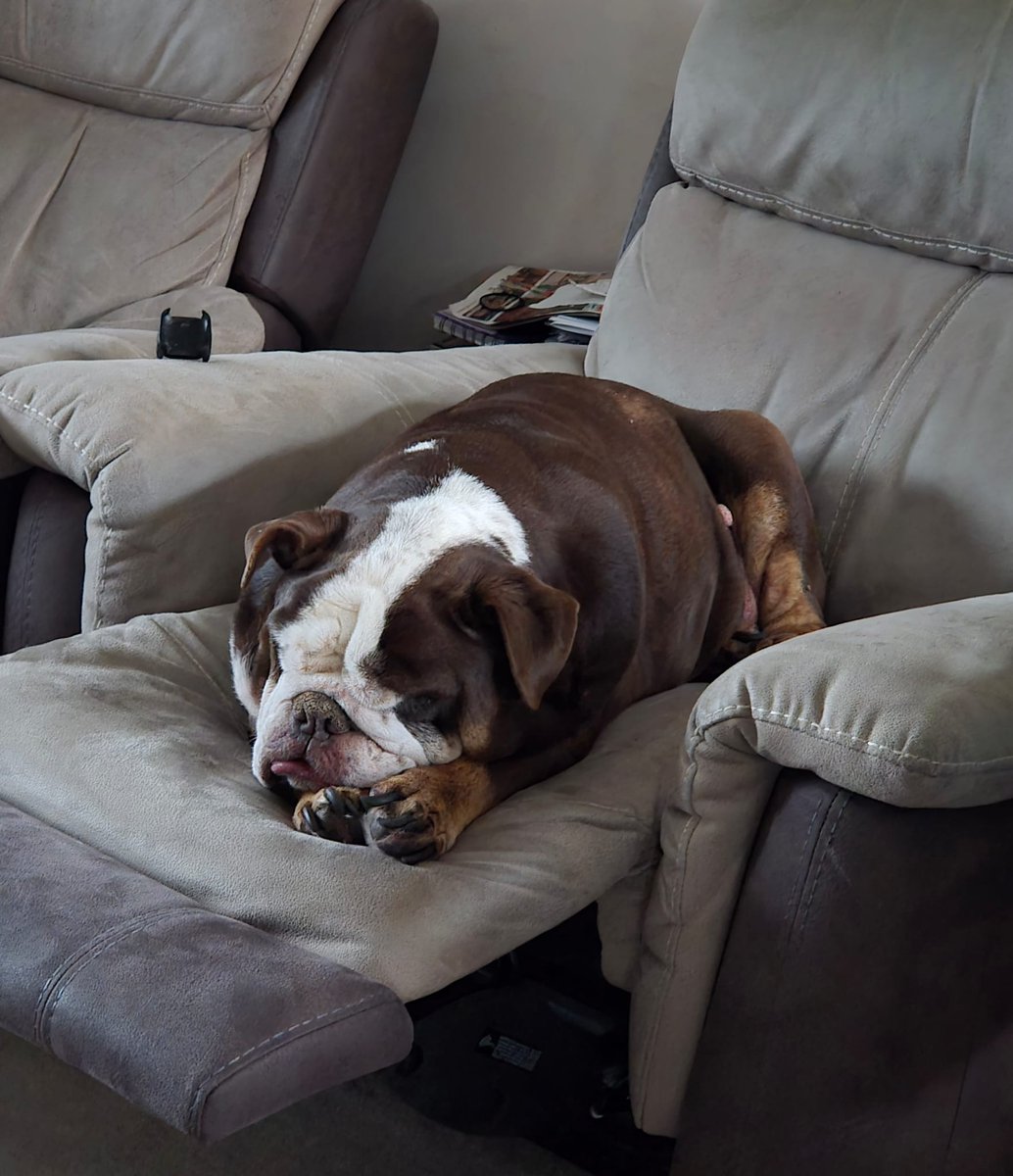 Joe Games tweet media