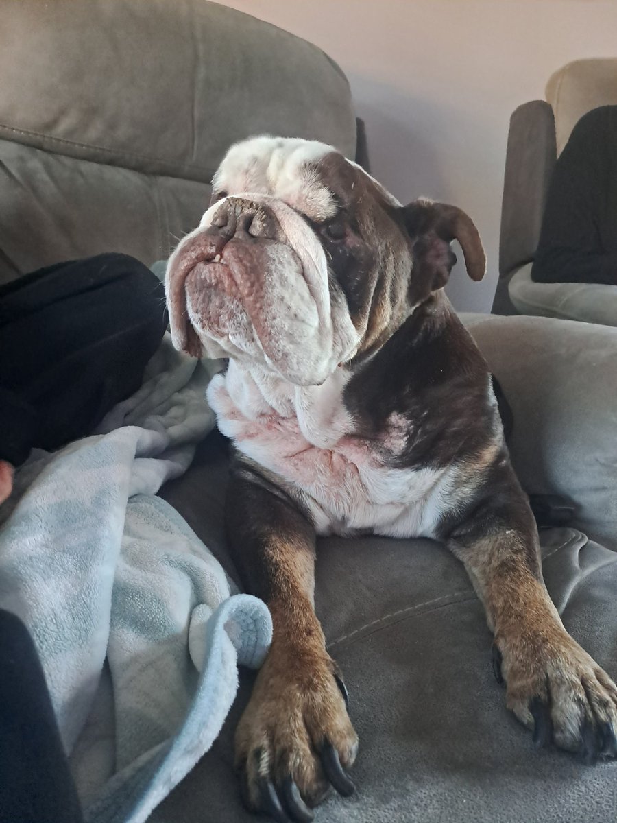 Joe Games tweet media