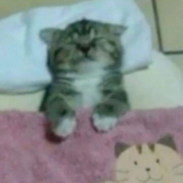 memefeos's tweet photo. perfectamente te puedo enviar un mensaje y a los 2min estar así https://t.co/fPRBz6D9NQ