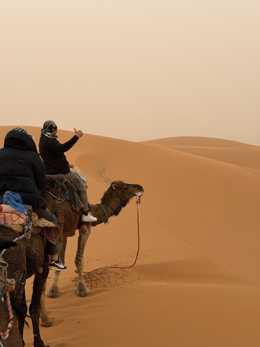 Sold all my crypto, bought a camel and went to the Sahara.

#crypto #sahara #afk