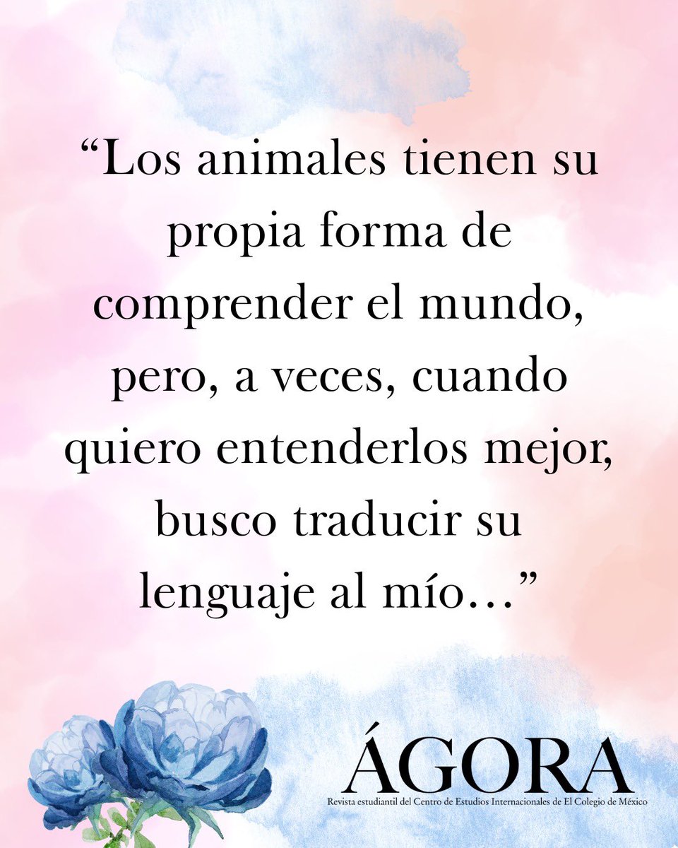 📣El blog de hoy es “Descubrir con el hocico” escrito por Adriana Zárate Escobar.

Te invitamos a leerlo en: agora.colmex.mx/descubrir-con-… 🐕
