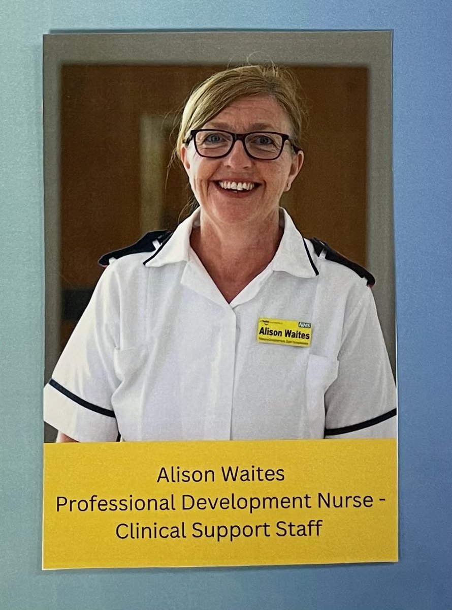 Professional Development in Dudley tweet media