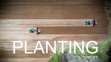 Spudnik Equipment tweet media