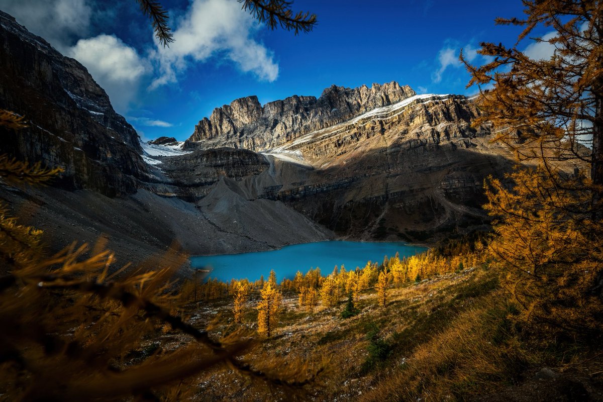 Vincent Schnabl tweet media