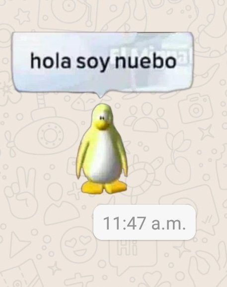 ❄ Fredox El Pinwino ❄ tweet media