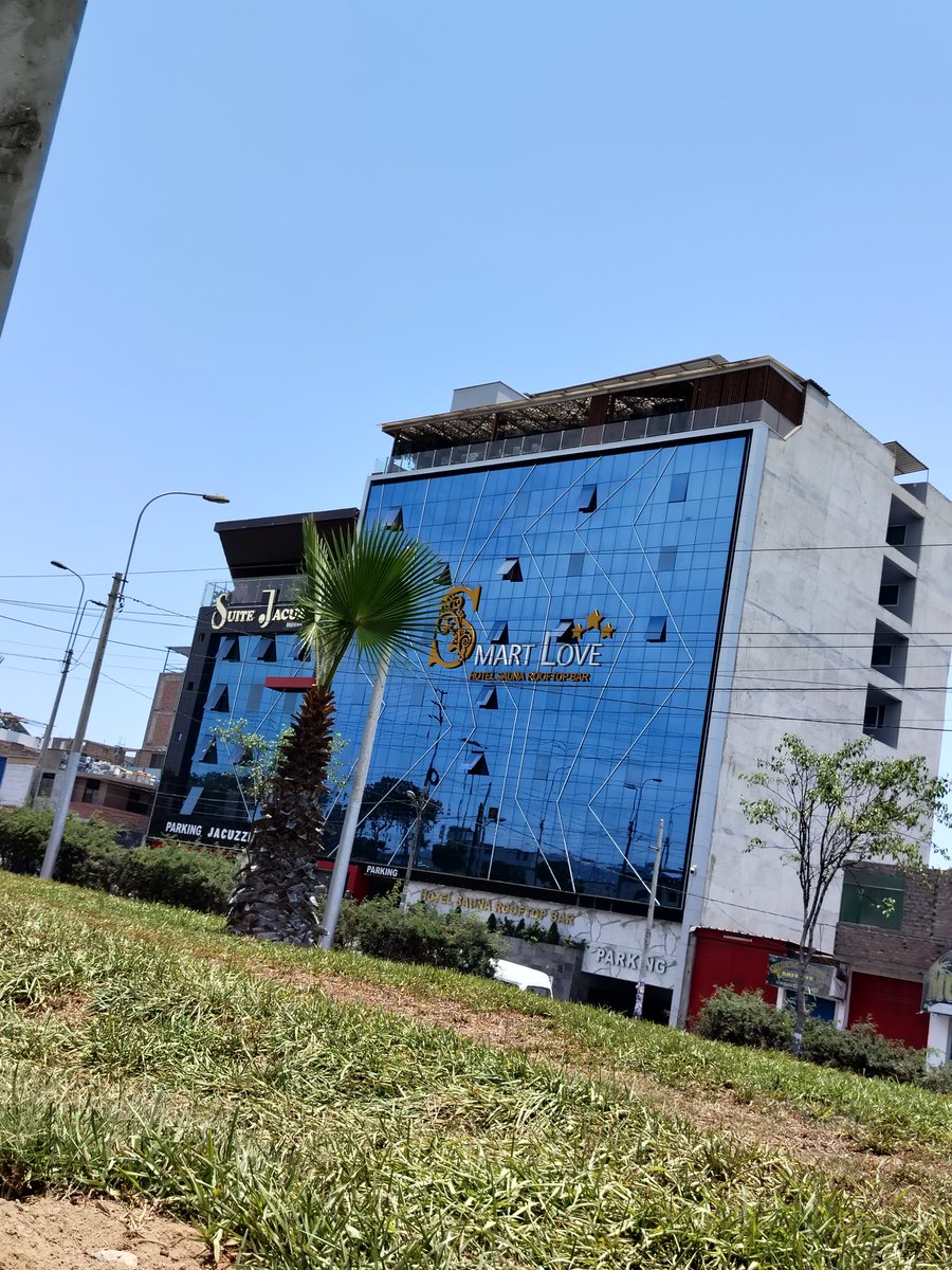 Sofia Leonardo tweet media