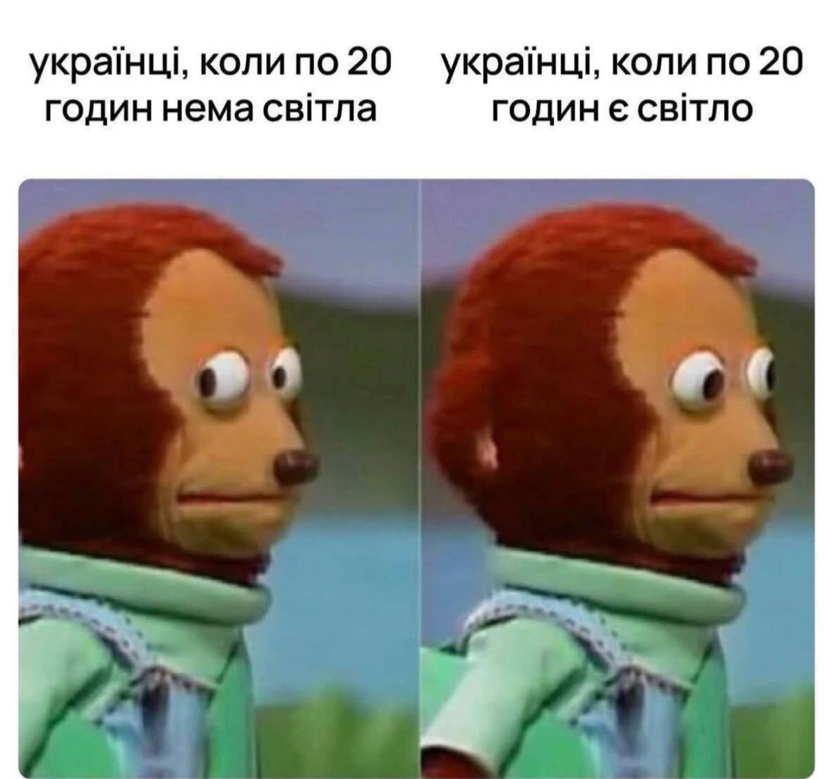 Мурзік Васильович повертається (@badkittyua) on Twitter photo 