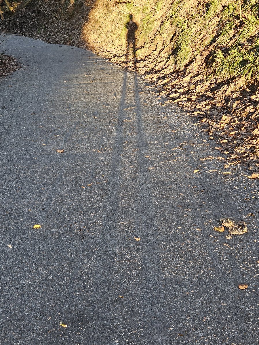 Sabine Hossenfelder tweet media