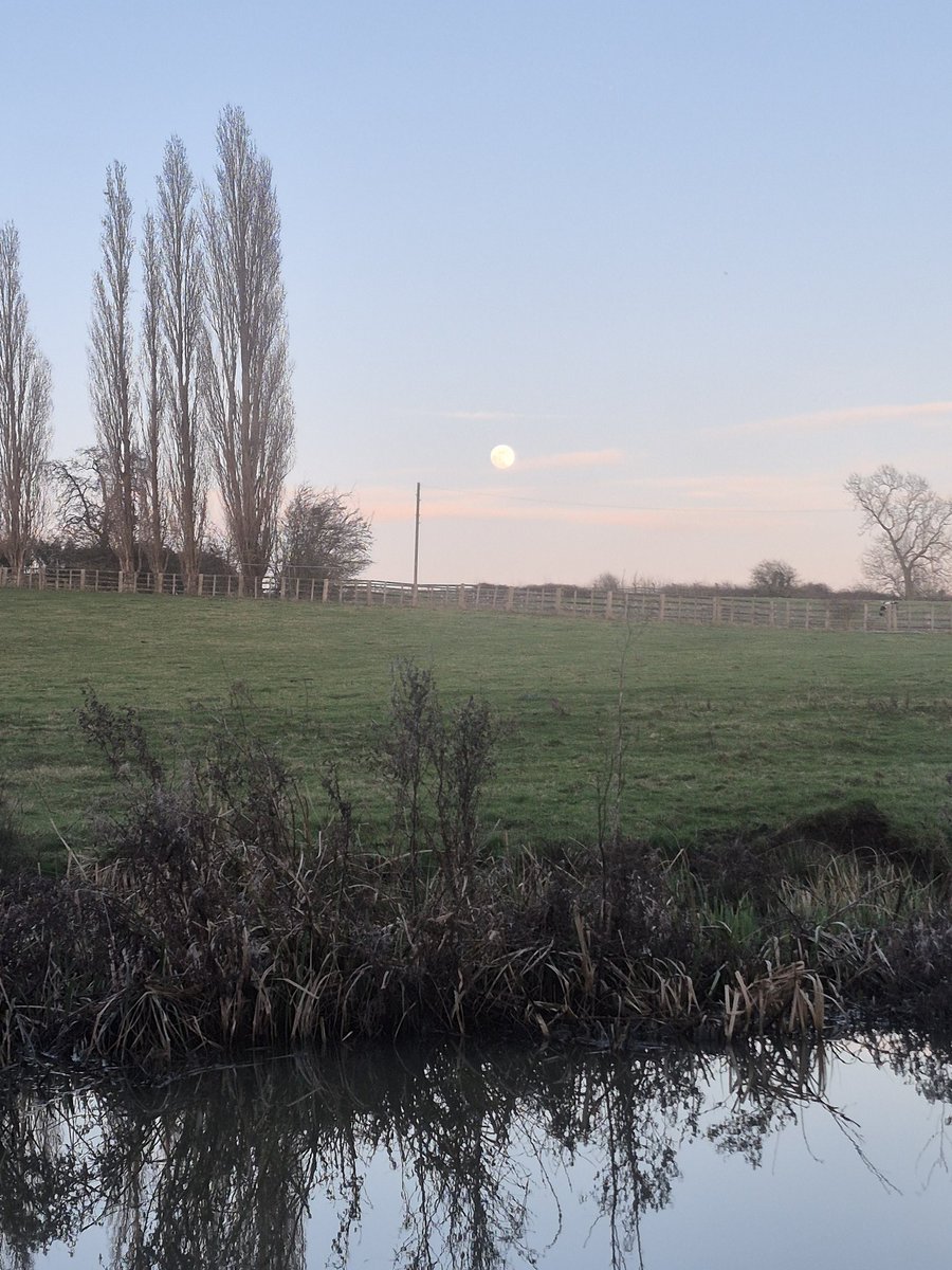 Float My Boat tweet media