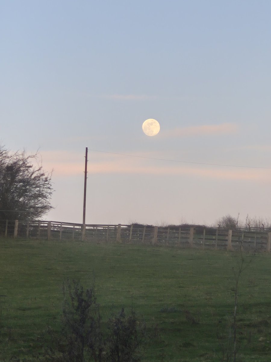 Float My Boat tweet media