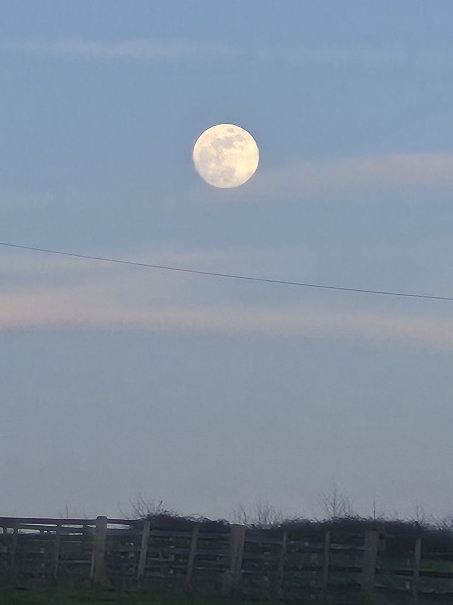 Float My Boat tweet media