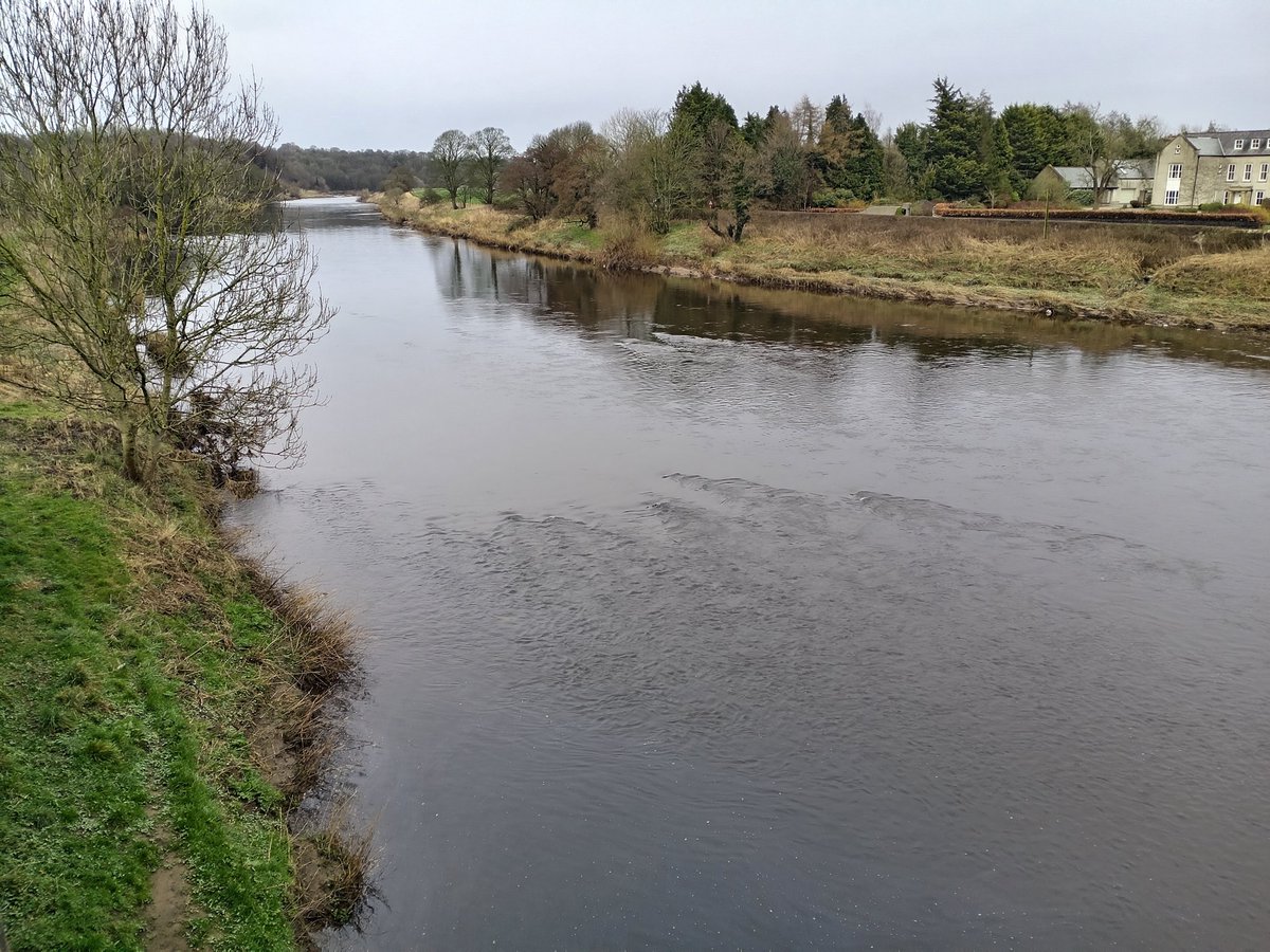 Stuart Parker tweet media