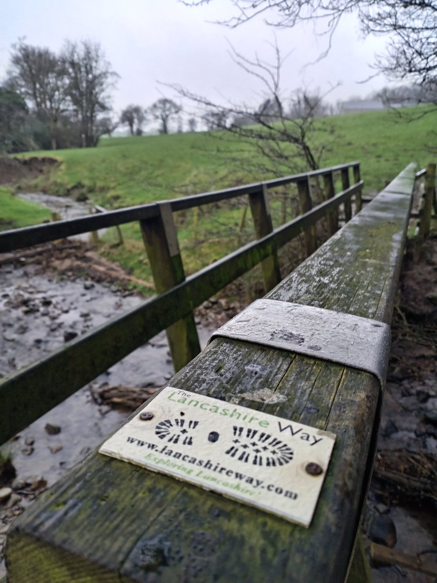 Stuart Parker tweet media