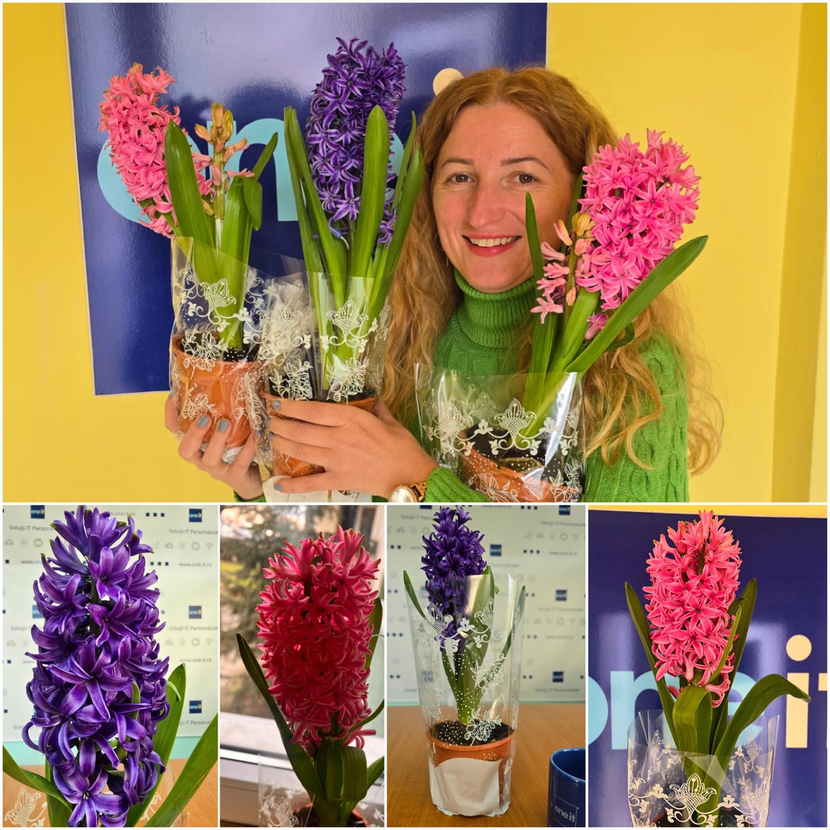 OneITro's tweet image. Martie începe cu energie și culoare la One-IT 🌸🌿
Biroul nostru a înflorit astăzi, pregătind un nou sezon de proiecte tech și inovație. 🚀

#OneIT #SpringVibes #EchipaOneIT