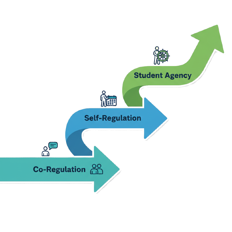 Nancy Sulla tweet media