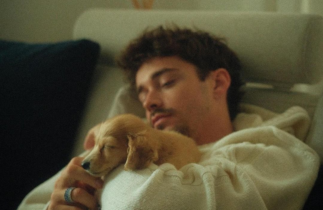 ray | レー ⭑ tweet media