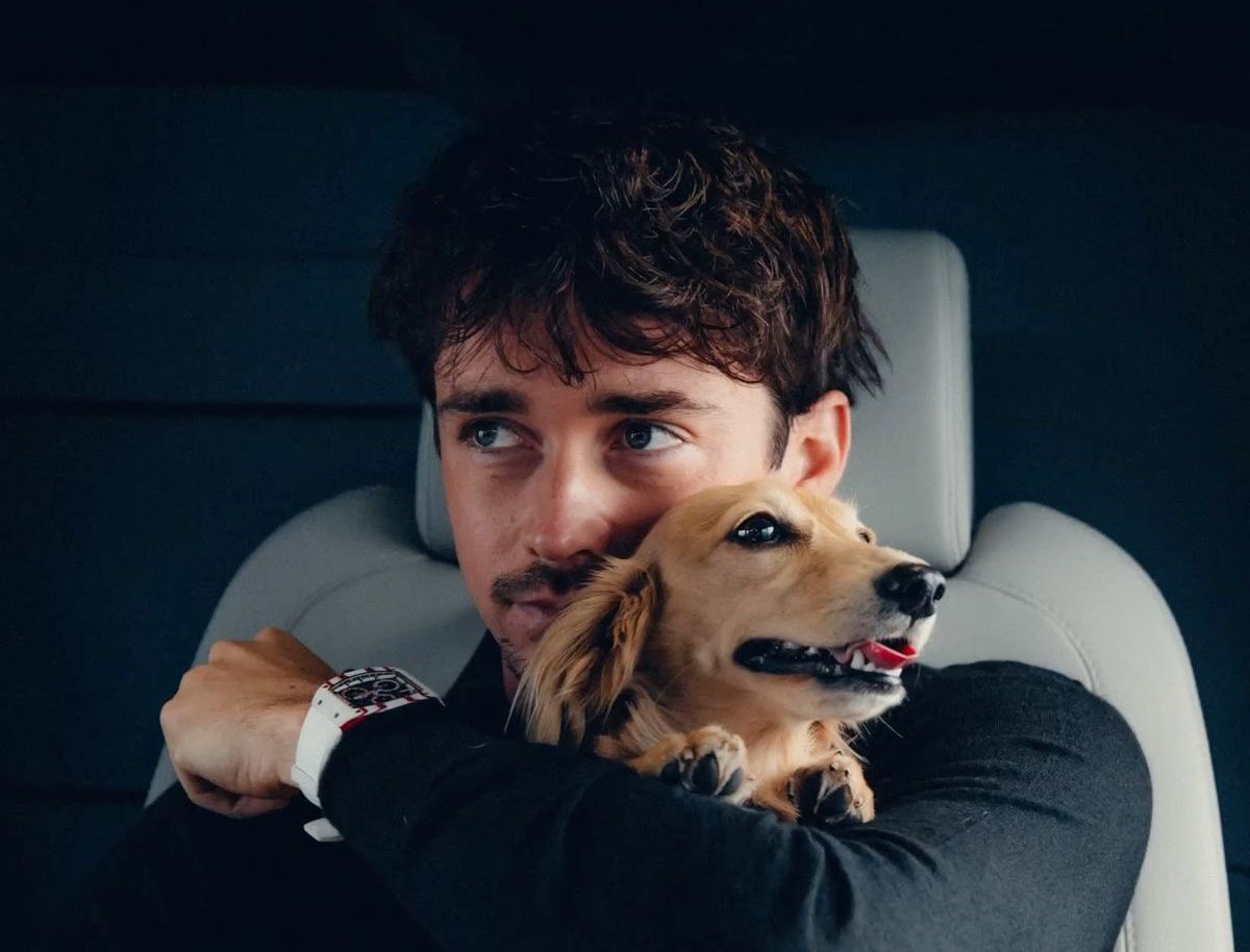 ray | レー ⭑ tweet media