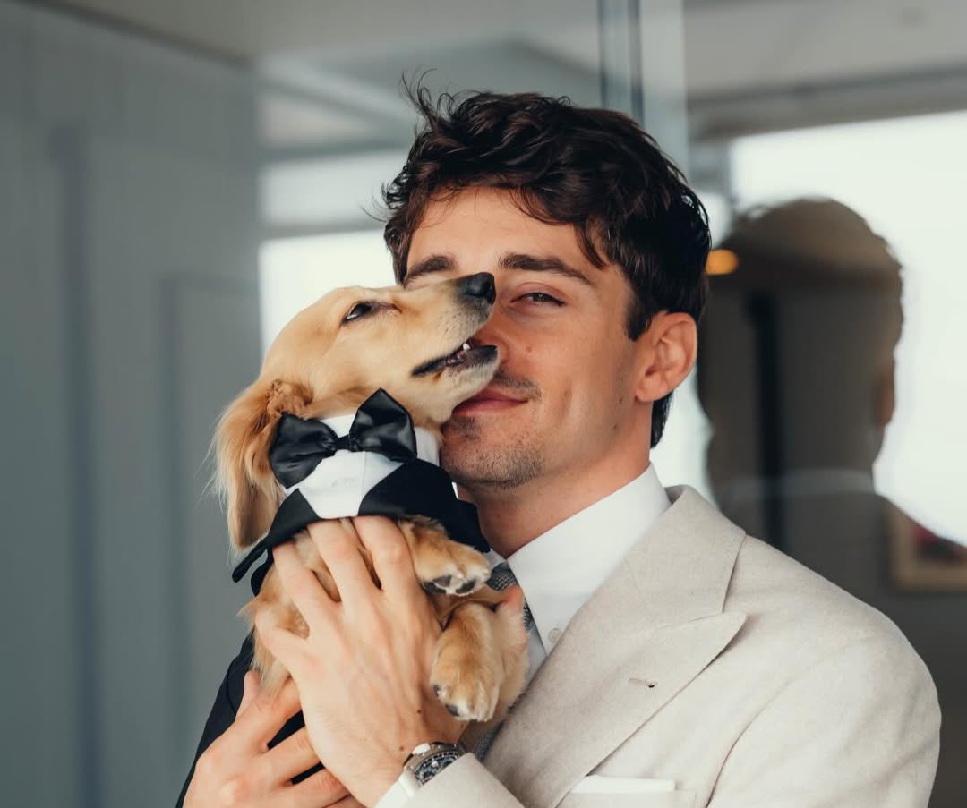 ray | レー ⭑ tweet media