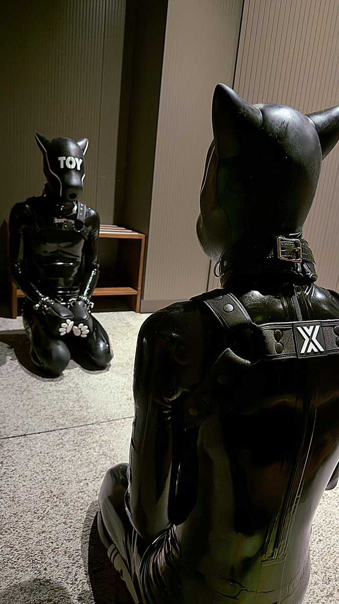 Sento 🔜 Puppypark Mannheim tweet media