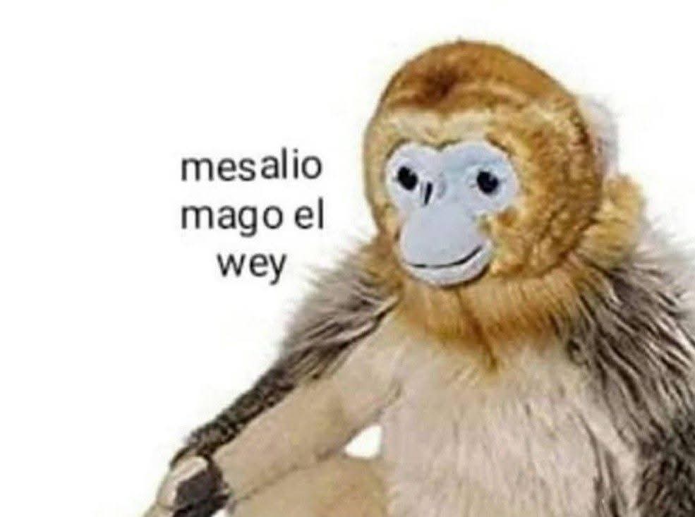 Brandon Pinte tweet media