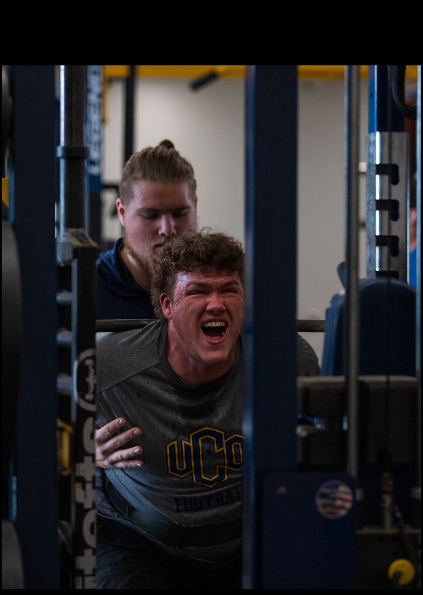 Ross Johnston tweet media