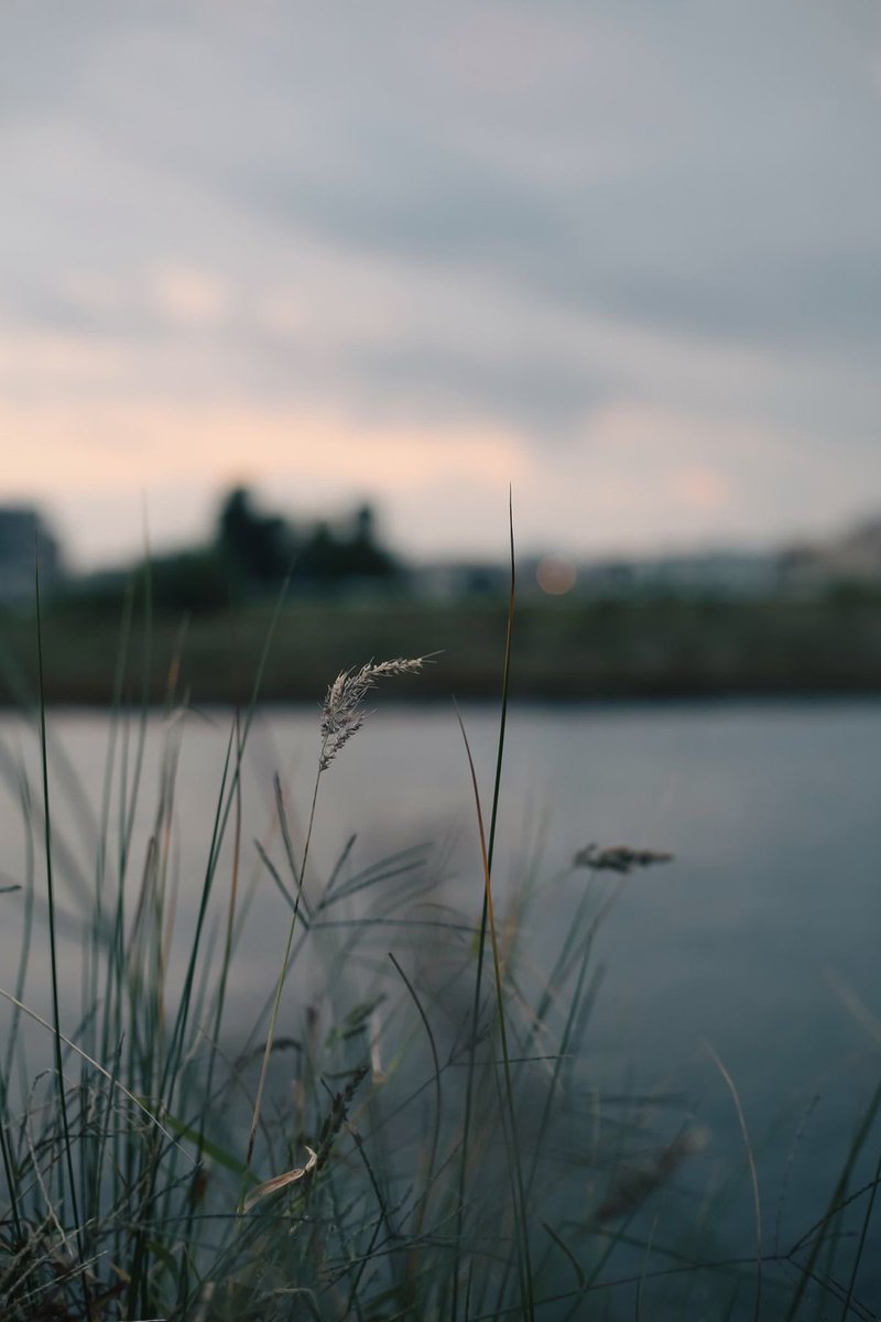 The Birdcage🪿 tweet media