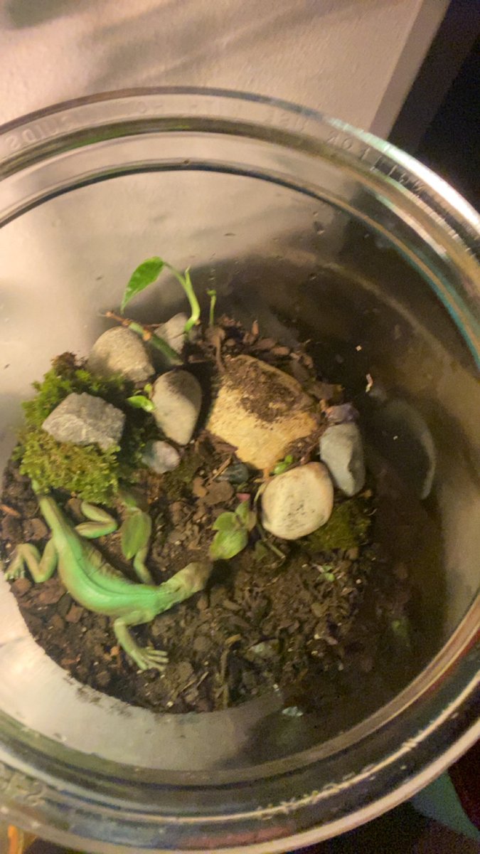 Preistess Golightly tweet media