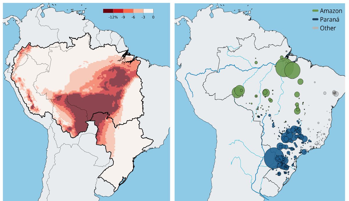 Rafael Araujo tweet media