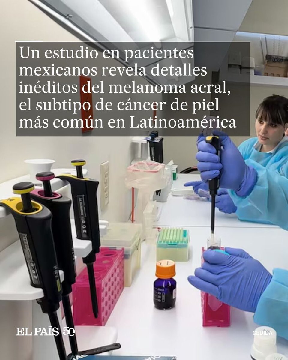 EL PAÍS América tweet media