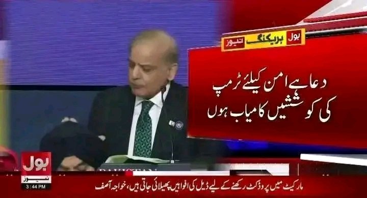 haniya batool tweet media