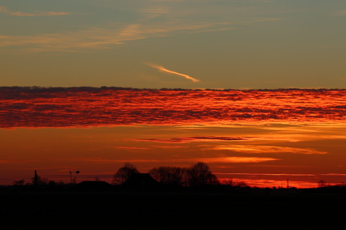 Burt Sytsma tweet media