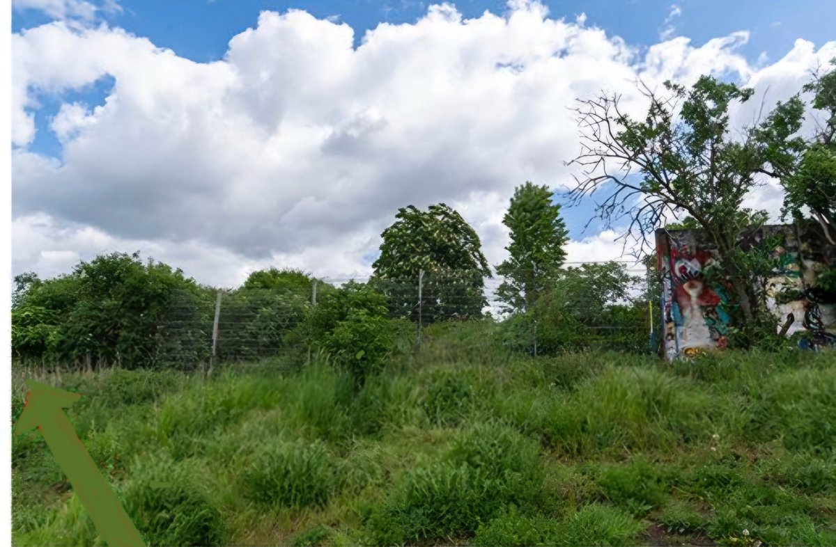 Es lebe der Spatz tweet media