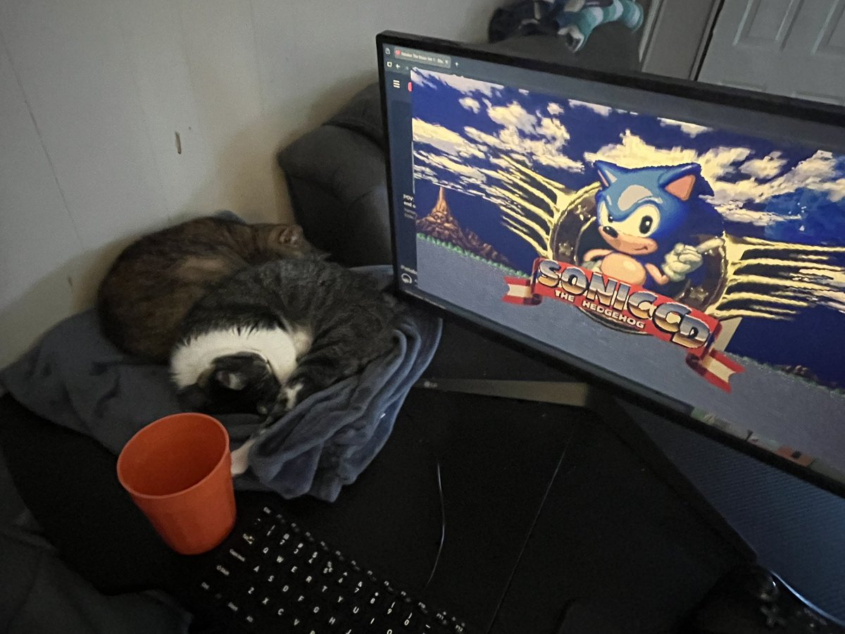 Dumb Ways To Time Travel In Sonic CD tweet media