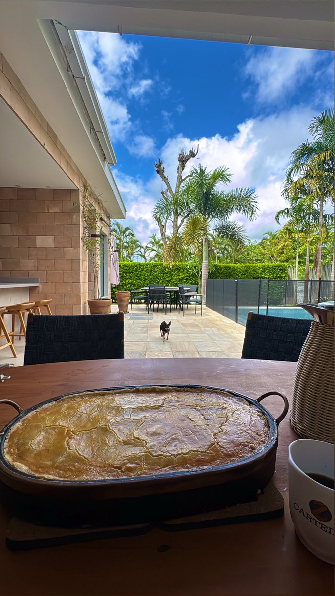 Rafael Zattar tweet media